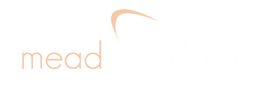 Mead Consulting